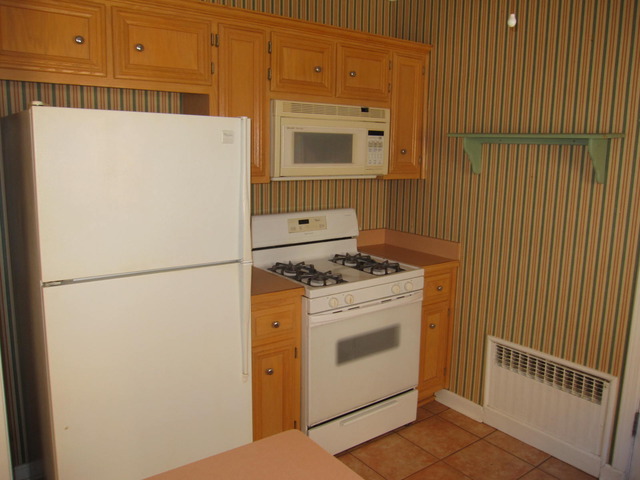100 Pine Ave #1, Riverside, IL 60546 photo 11