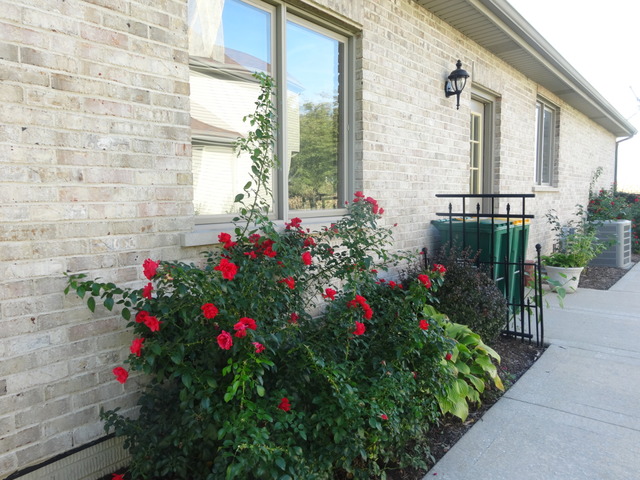 24224 Simo Dr, Plainfield, IL 60586 photo 19