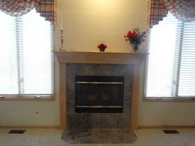 24224 Simo Dr, Plainfield, IL 60586 photo 3