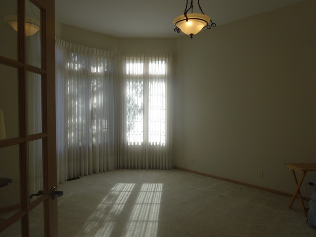 24224 Simo Dr, Plainfield, IL 60586 photo 5