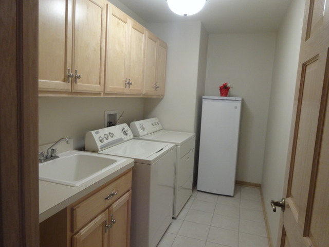 24224 Simo Dr, Plainfield, IL 60586 photo 15