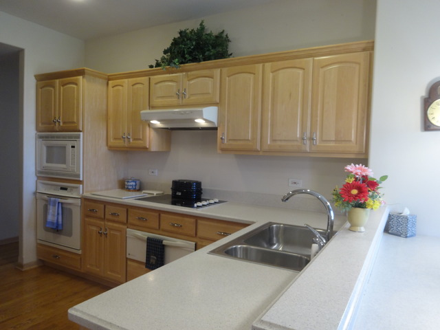 24224 Simo Dr, Plainfield, IL 60586 photo 8