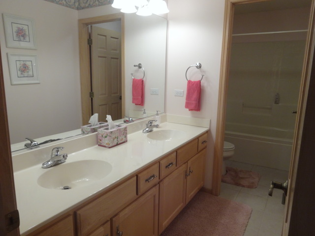 24224 Simo Dr, Plainfield, IL 60586 photo 12