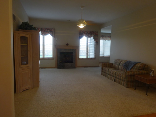 24224 Simo Dr, Plainfield, IL 60586 photo 2