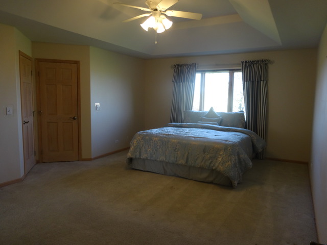 24224 Simo Dr, Plainfield, IL 60586 photo 11