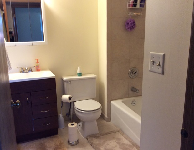 292 Chaparral Cir, Elgin, IL 60120 photo 8
