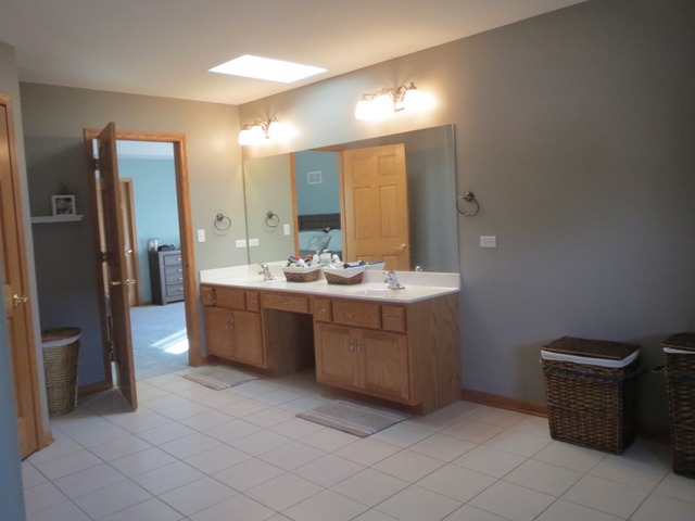 705 Joanne Dr, Minooka, IL 60447 photo 18