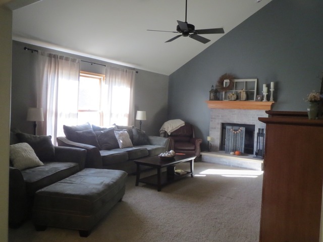 705 Joanne Dr, Minooka, IL 60447 photo 12