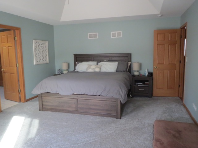 705 Joanne Dr, Minooka, IL 60447 photo 15