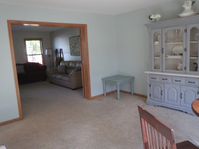 705 Joanne Dr, Minooka, IL 60447 photo 7