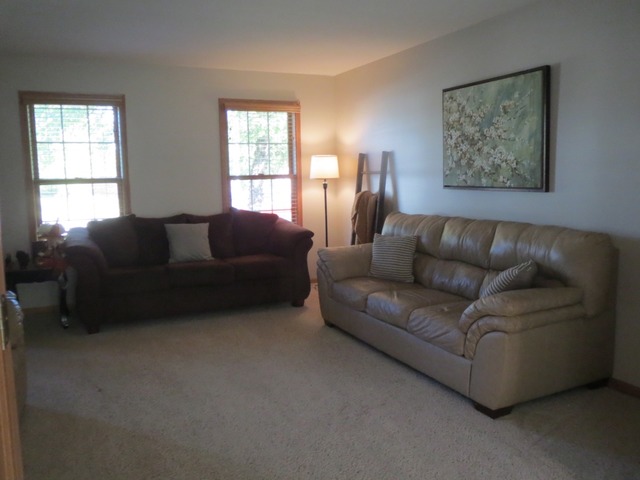 705 Joanne Dr, Minooka, IL 60447 photo 5