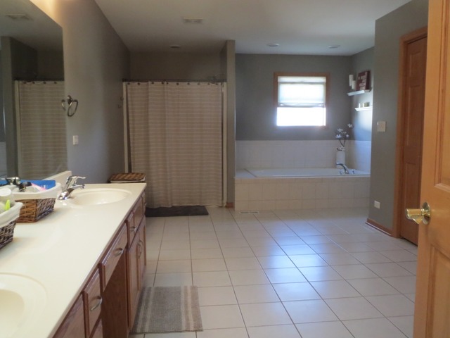 705 Joanne Dr, Minooka, IL 60447 photo 17