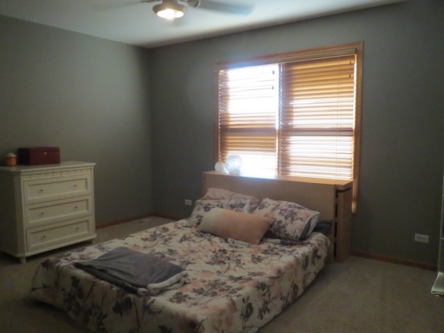705 Joanne Dr, Minooka, IL 60447 photo 20