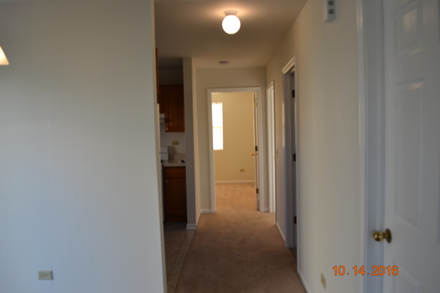 2922 Hoffman St, Plano, IL 60545 photo 5