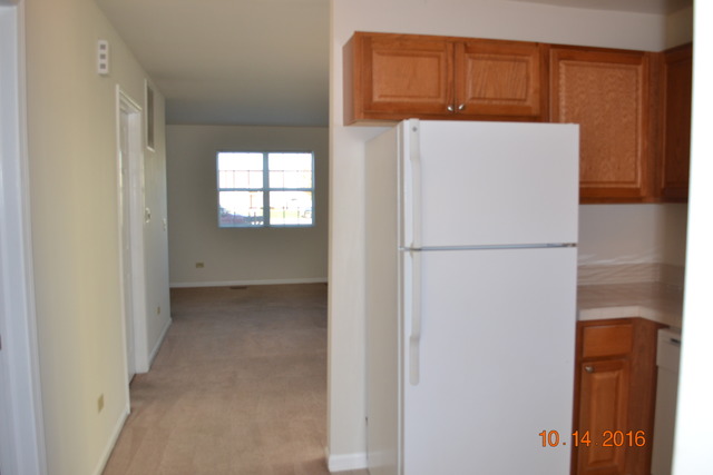 2922 Hoffman St, Plano, IL 60545 photo 6