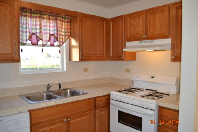2922 Hoffman St, Plano, IL 60545 photo 8