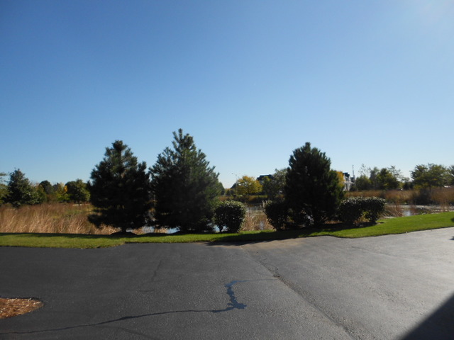 24607 John Adams Dr, Plainfield, IL 60544 photo 19