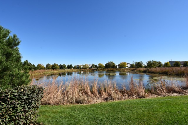 24607 John Adams Dr, Plainfield, IL 60544 photo 20