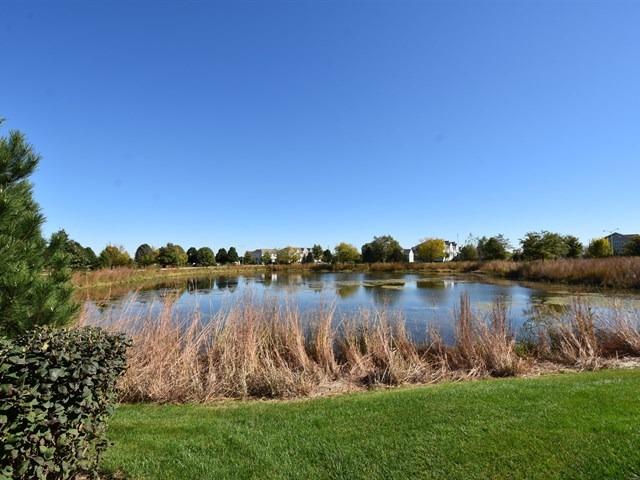 24607 John Adams Dr, Plainfield, IL 60544 photo 17
