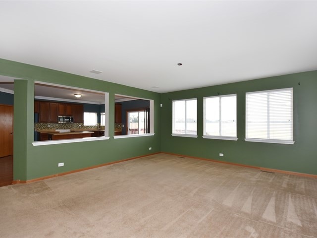 719 Christopher St, Plano, IL 60545 photo 8