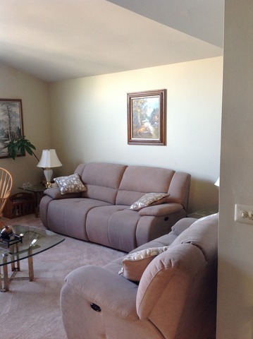 24 Taft Ct #B, Streamwood, IL 60107 photo 2