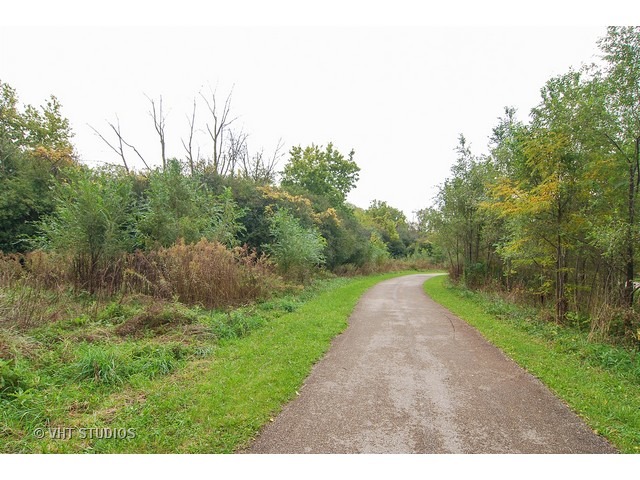 4406 Oak Ave, Lyons, IL 60534 photo 15