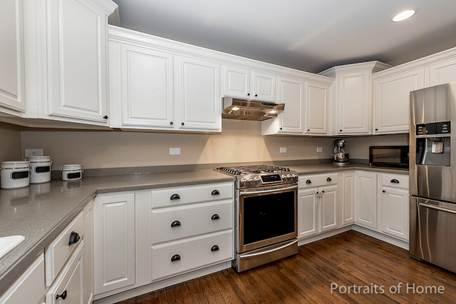 50 Chestnut Ct, Elgin, IL 60120 photo 8