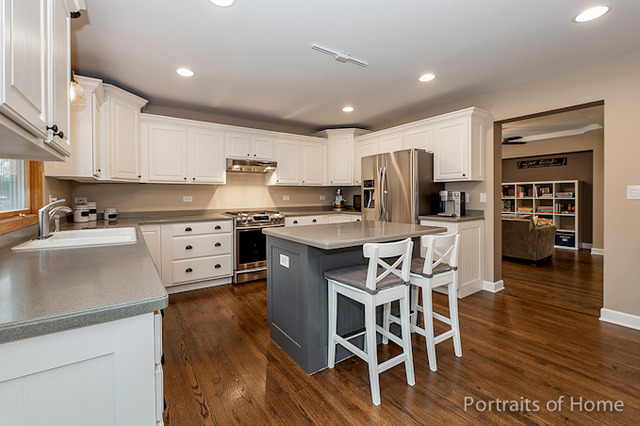 50 Chestnut Ct, Elgin, IL 60120 photo 7