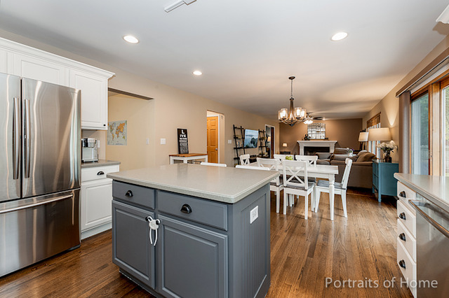 50 Chestnut Ct, Elgin, IL 60120 photo 9