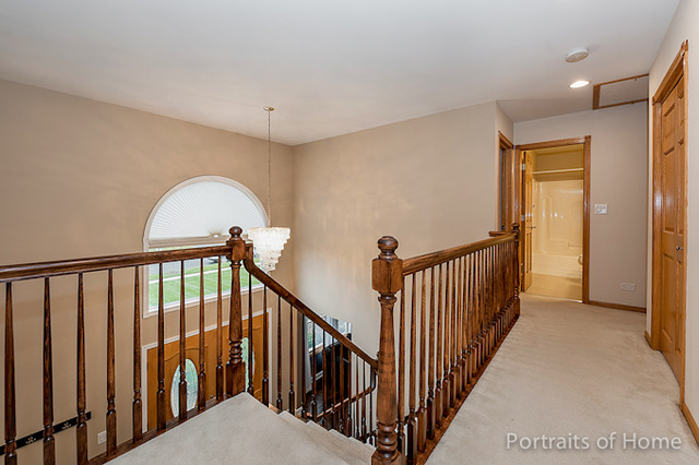 50 Chestnut Ct, Elgin, IL 60120 photo 22