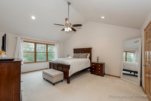 50 Chestnut Ct, Elgin, IL 60120 photo 15