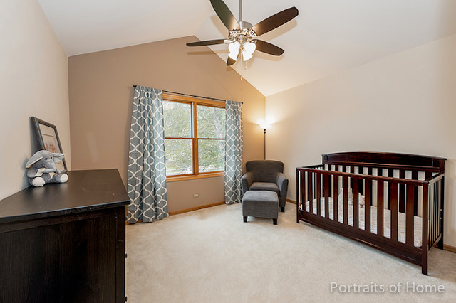 50 Chestnut Ct, Elgin, IL 60120 photo 20