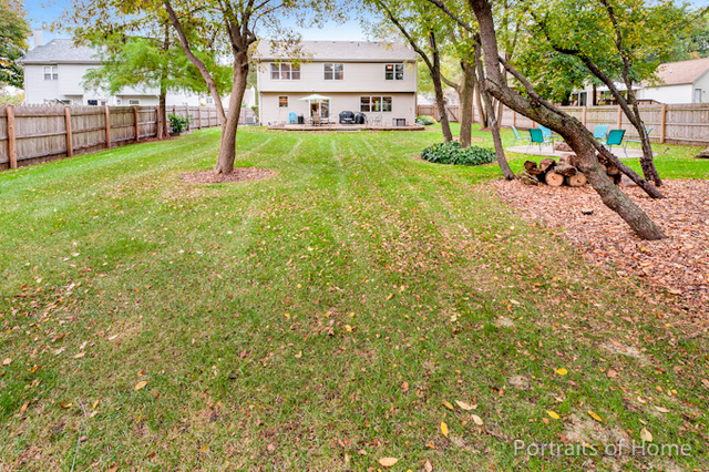 50 Chestnut Ct, Elgin, IL 60120 photo 25