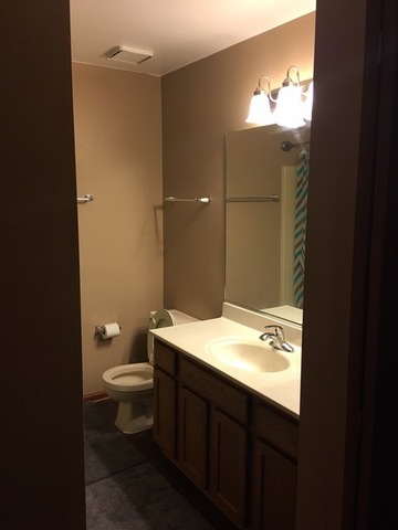 958 Ascot Dr, Elgin, IL 60123 photo 9