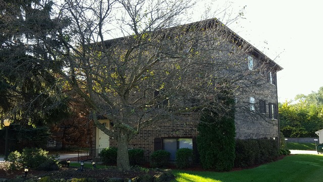 21 W301 Tee Ln, Itasca, IL 60143 photo 5