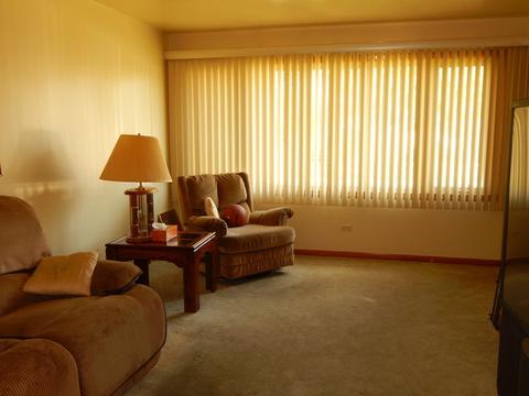 3348 Ruby St, Franklin Park, IL 60131 photo 5