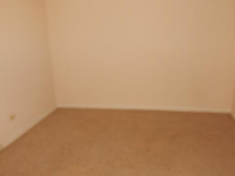 3348 Ruby St, Franklin Park, IL 60131 photo 17