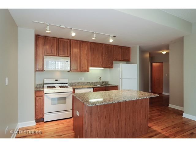41 E 8th St #5A, Chicago, IL 60605 photo 3