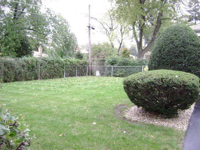 1811 Everett Ave, Des Plaines, IL 60018 photo 12