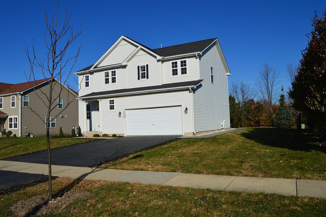 16304 Spring Creek Ln, Plainfield, IL 60586 photo 2