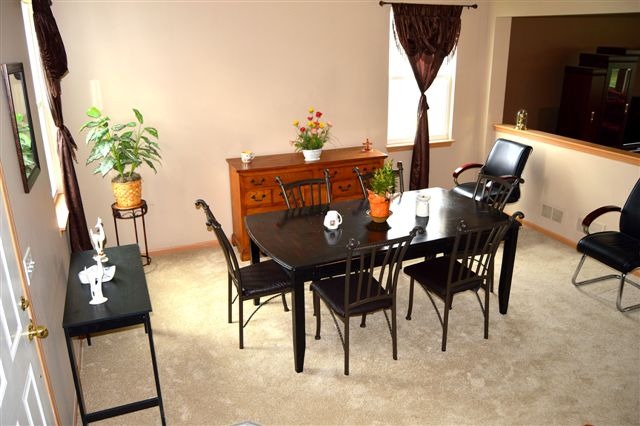 16304 Spring Creek Ln, Plainfield, IL 60586 photo 4