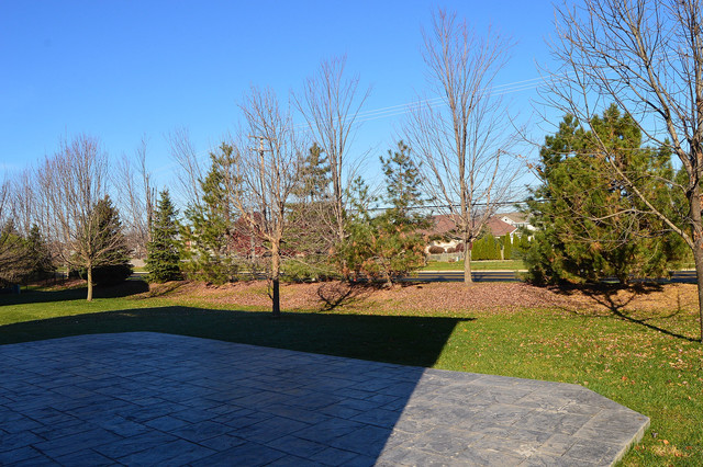 16304 Spring Creek Ln, Plainfield, IL 60586 photo 21
