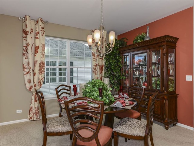 4038 Conifer Dr, Elgin, IL 60124 photo 6