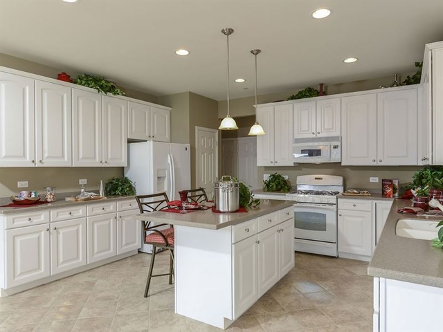 4038 Conifer Dr, Elgin, IL 60124 photo 7