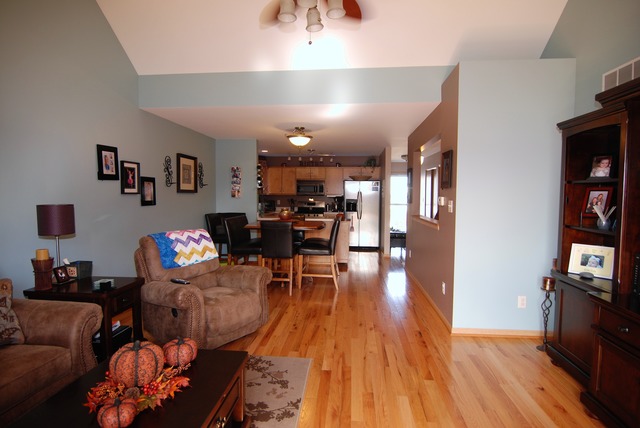 2645 E Girot Ln, Diamond, IL 60416 photo 4