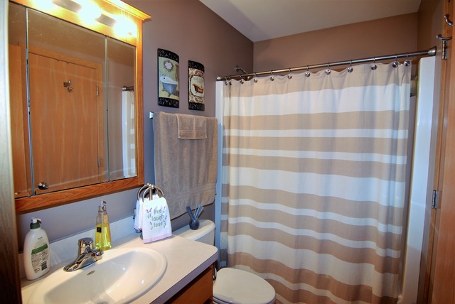 2645 E Girot Ln, Diamond, IL 60416 photo 11