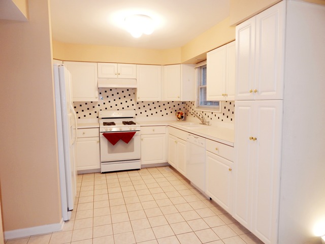 1039 Trillium Ln, Bartlett, IL 60103 photo 6