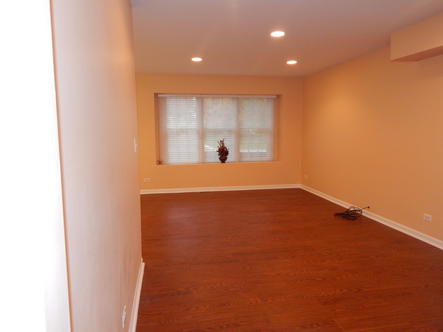 1039 Trillium Ln, Bartlett, IL 60103 photo 5