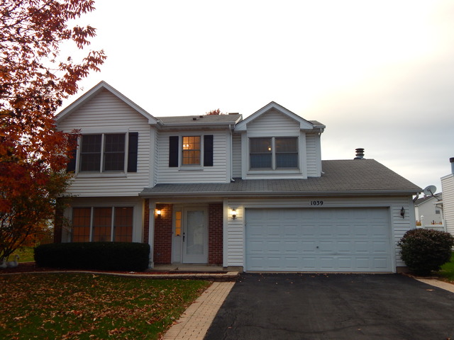 1039 Trillium Ln, Bartlett, IL 60103 photo 20