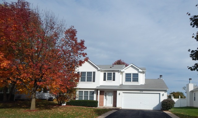 1039 Trillium Ln, Bartlett, IL 60103 photo 1